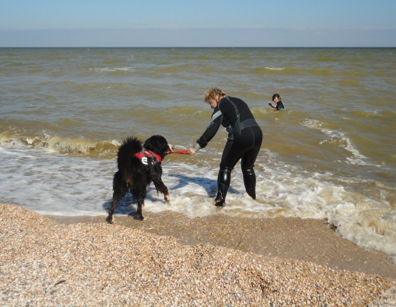 Фотография № 214214