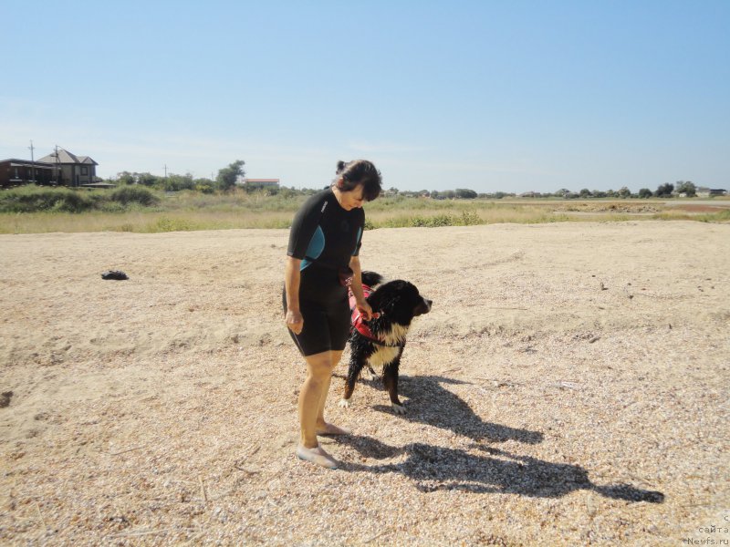 Фотография № 214220