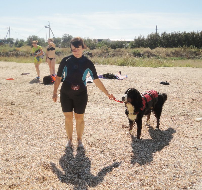 Фотография № 214221