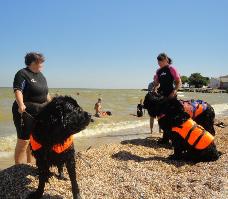 Фотография № 214222