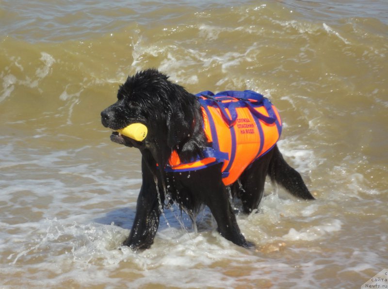 Фотография № 214225