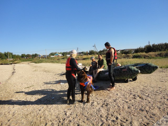 Фотография № 214231