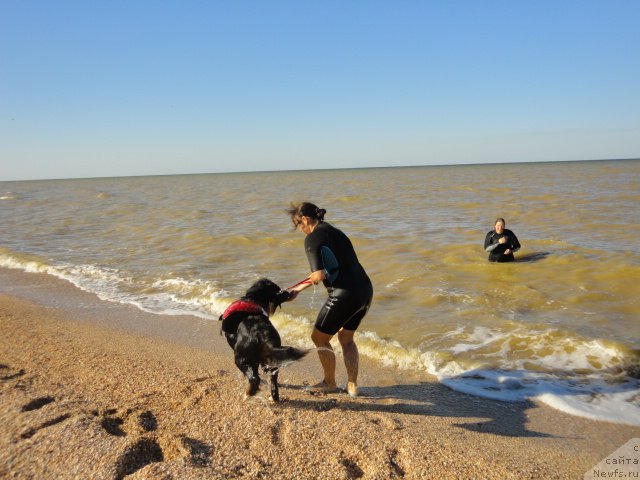 Фотография № 214238