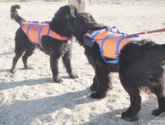 Фотография № 214245