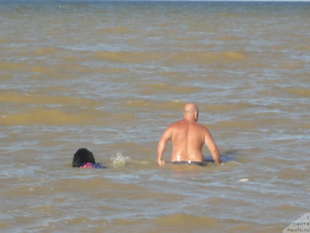 Фотография № 214257