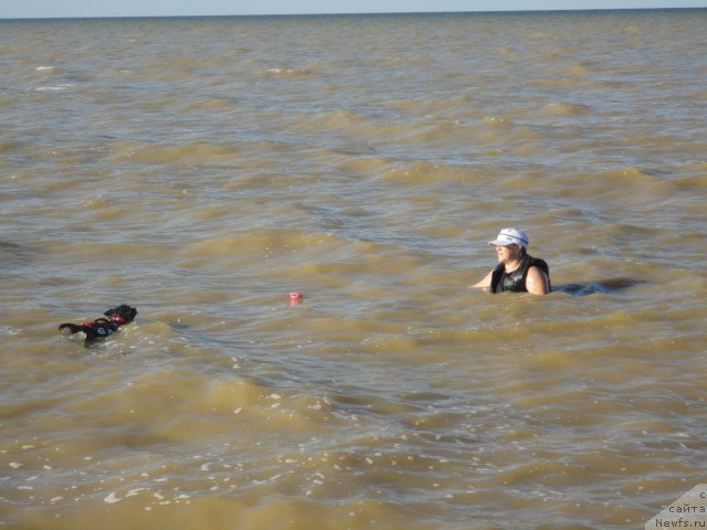 Фотография № 214262