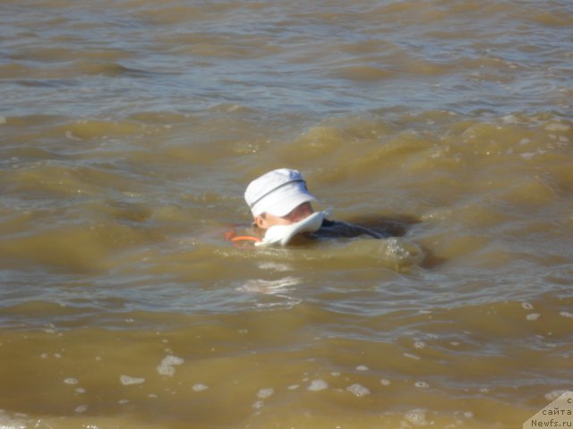 Фотография № 214270