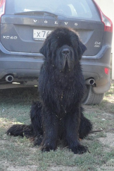 Фотография № 214277