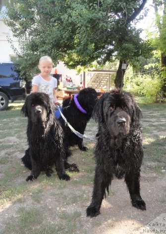 Фотография № 214285