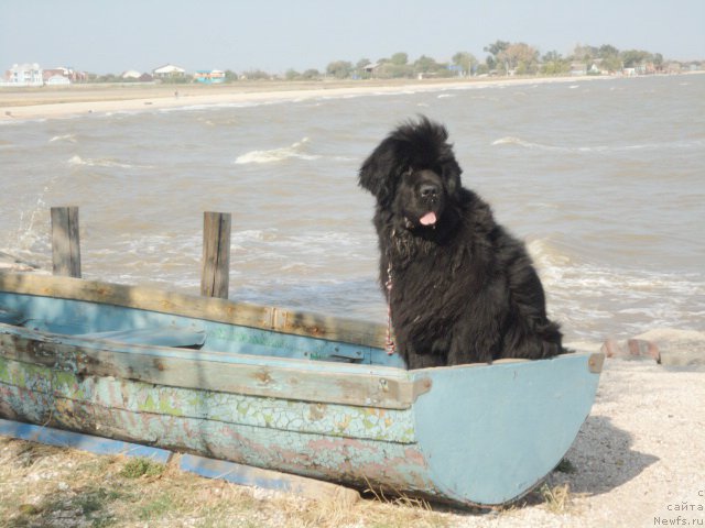 Фотография № 214295