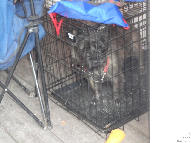 Фотография № 214301