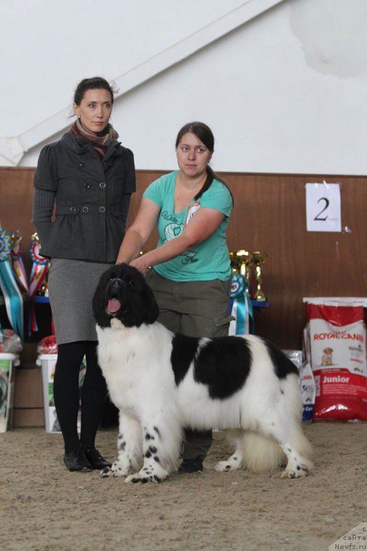 Фотография № 214311