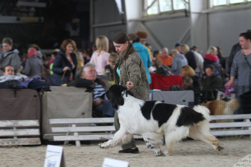 Фотография № 214312