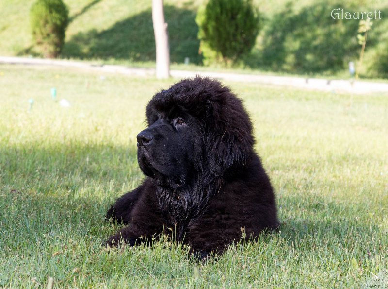 Фотография № 214345