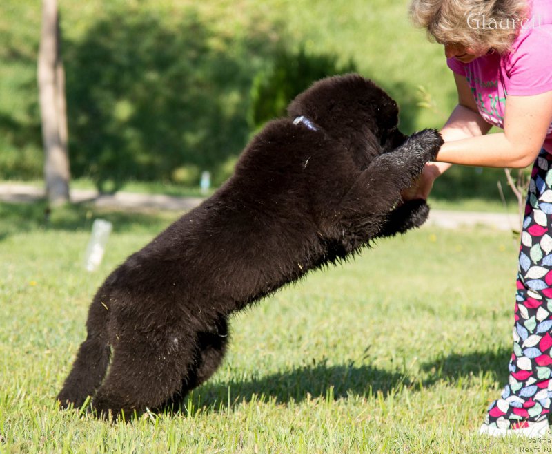 Фотография № 214346