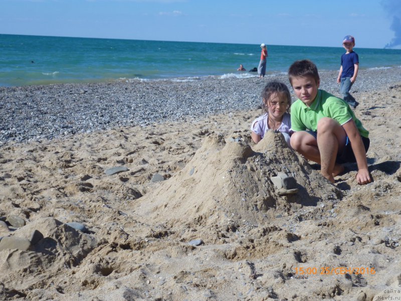 Фотография № 214373