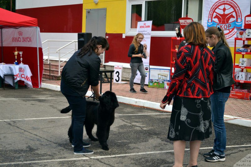 Фотография № 214452