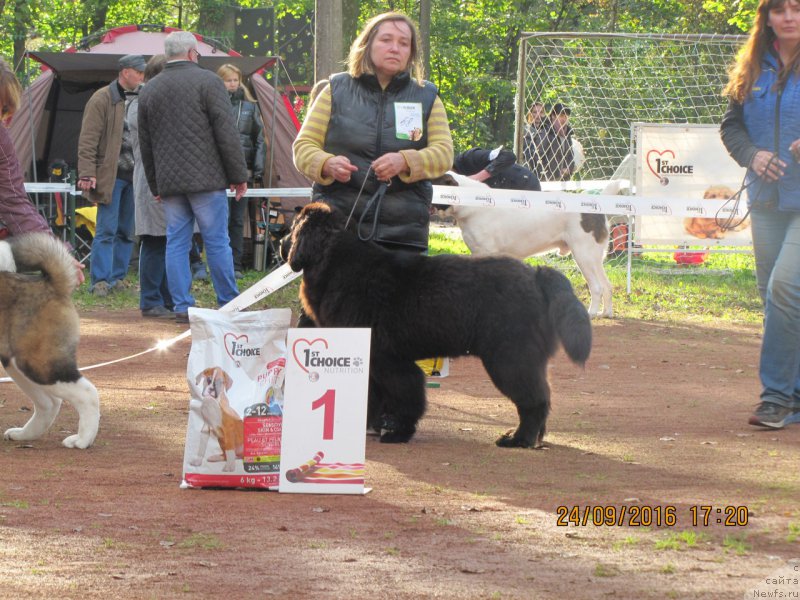 Фотография № 214453