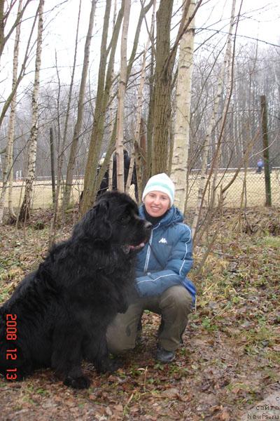 Фото: ньюфаундленд Jelannyiy Drug s Berega Dona (Желанный Друг с Берега Дона), Olesya Krasnova (Олеся Краснова)