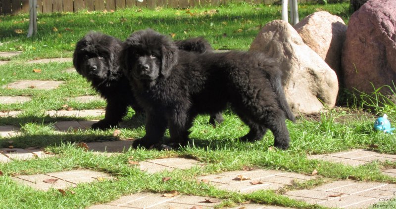 Фотография № 214492