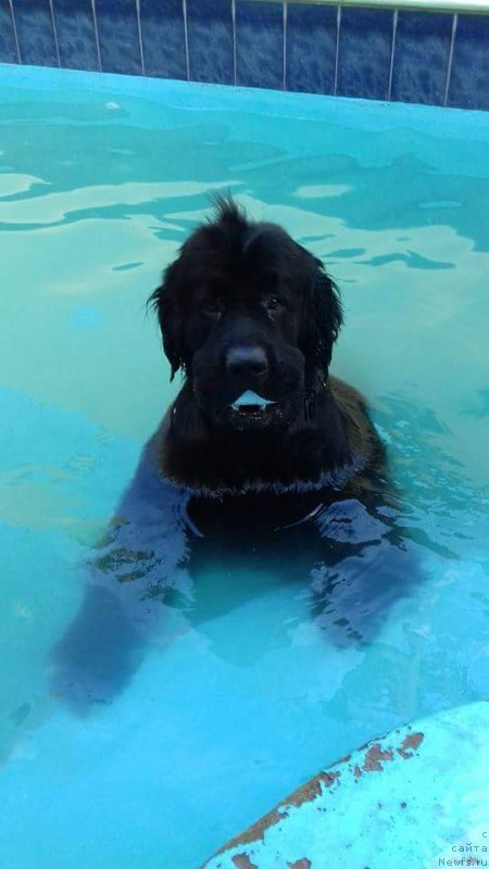 Фотография № 214509