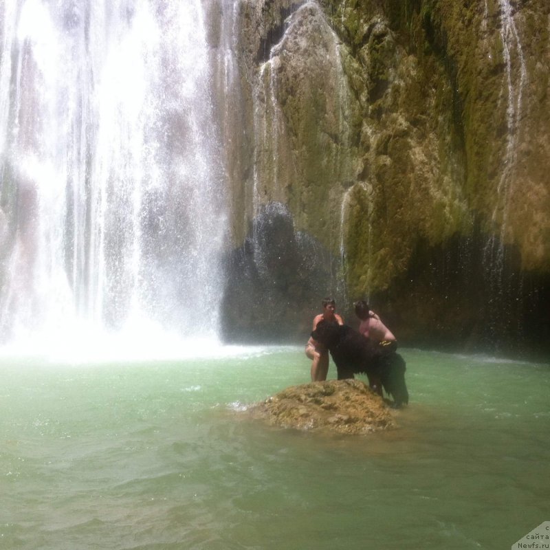 Фотография № 214510