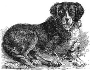 Фотография № 21452