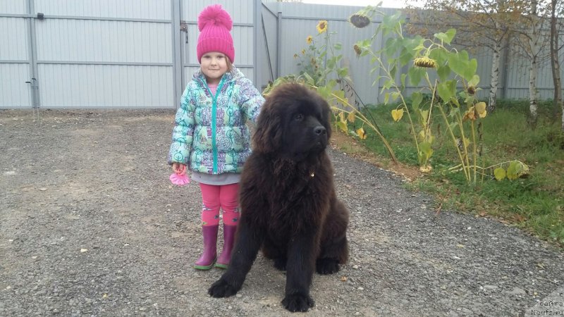 Фотография № 214535