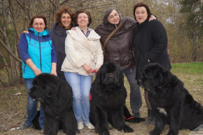 Фото: ньюфаундленд Shon O'Konnori Agent 007 (Шон О'Коннори Агент 007), Irina Dorohina (Ирина Дорохина), Стальнова Анна, ньюфаундленд Radomir iz Plemeni Kedra (Радомир из Племени Кедра), Tat'yana SHelkovnikova (Татьяна Шелковникова), Natal'ya Potehina (Наталья Потехина), ньюфаундленд Rusalochka iz Plemeni Kedra (Русалочка из Племени Кедра), Elizaveta Pavlova (Елизавета Павлова)