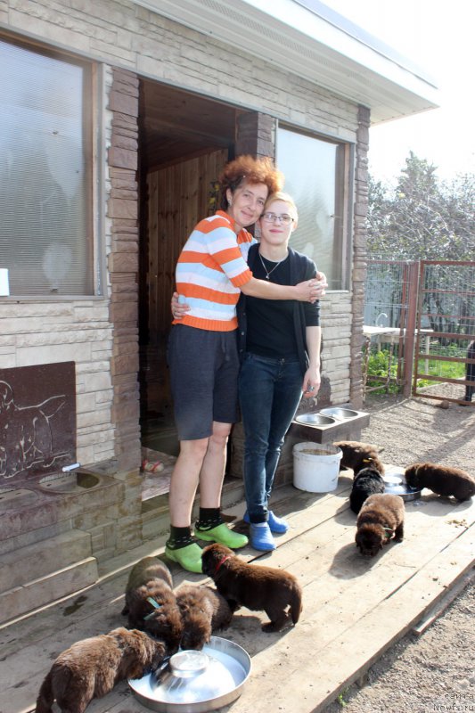 Фото: Ekaterina Fedotova (Екатерина Федотова), Evgeniya Fedotova (Евгения Федотова), ньюфаундленд Brownblood MSK Amadey-Defender (Браунблад МСК Амадей-Дефендер), ньюфаундленд Brownblood MSK Another Love Tender Ebony (Браунблад МСК Аназер Лав Тендер Эбони), ньюфаундленд Brownblood MSK Alfa-Romeo Gold Baddy (Браунблад МСК Альфа-Ромео Голд Бадди), ньюфаундленд Brownblood MSK Abrams-Strong (Браунблад МСК Абрамс-Стронг), ньюфаундленд Brownblood MSK Audi Red Less (Браунблад МСК Ауди Рэд Лэсс), ньюфаундленд Brownblood MSK Armata Loyar Aid (Браунблад МСК Армата Лойар Аид), ньюфаундленд Brownblood MSK Alpina Guardian Soul (Браунблад МСК Альпина Гуардиан Соул), ньюфаундленд Brownblood MSK Avanti Darling Kid (Браунблад МСК Аванти Дарлинг Кид)