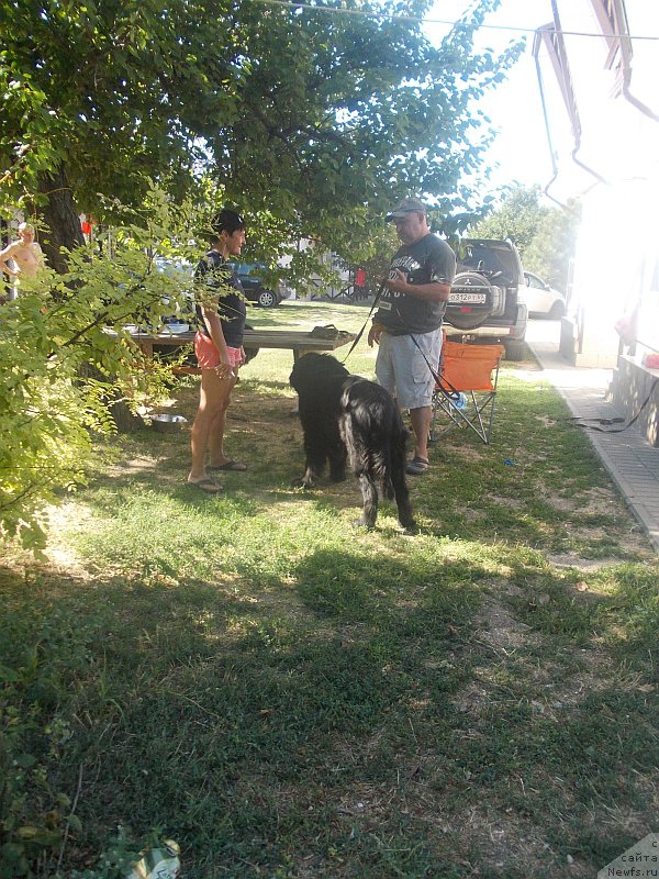 Фотография № 214601