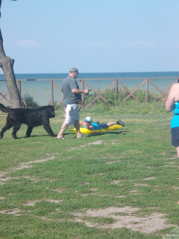 Фотография № 214603