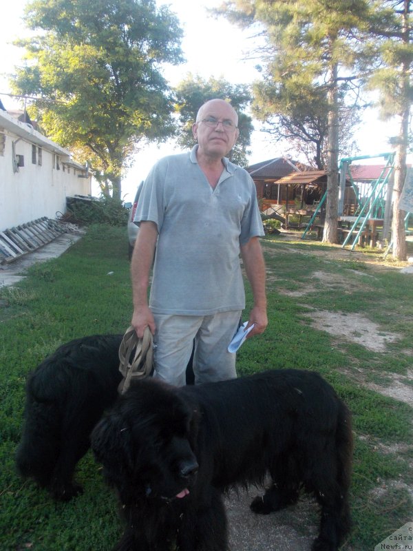 Фотография № 214605