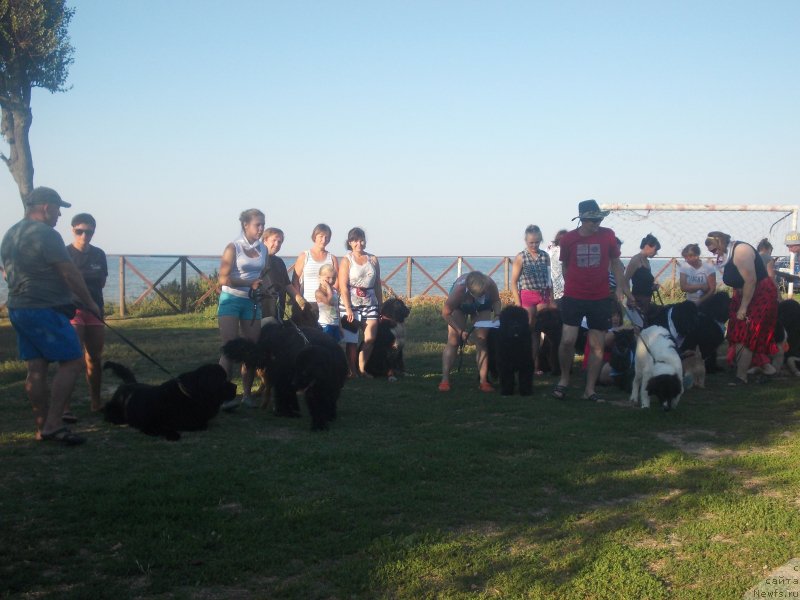 Фотография № 214608