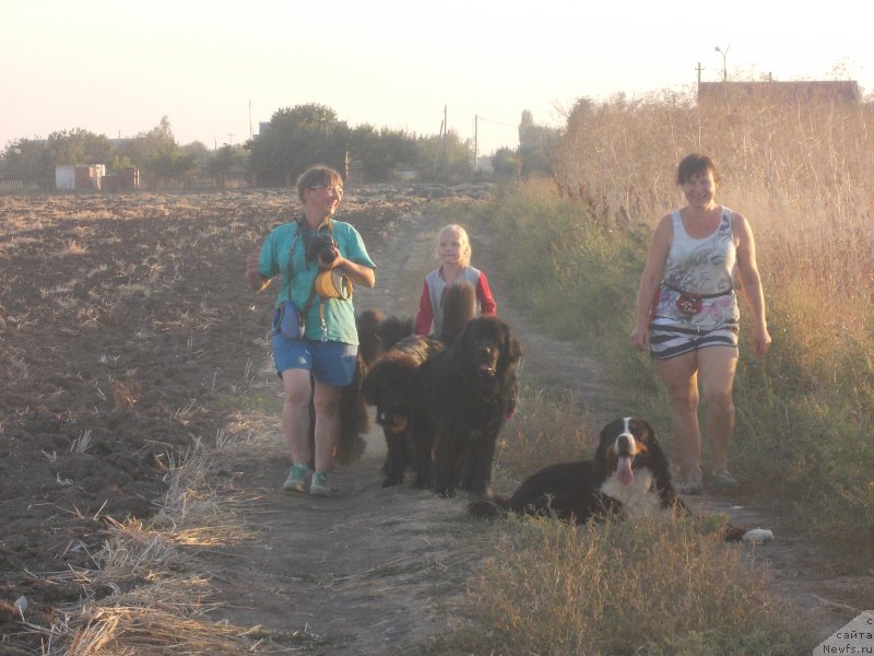 Фотография № 214609