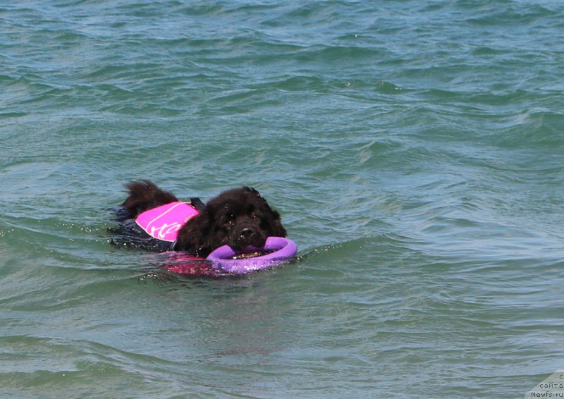 Фотография № 214626