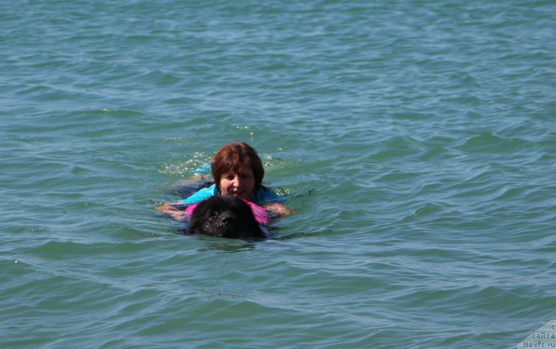 Фотография № 214627