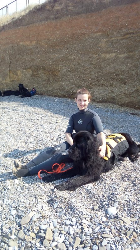 Фотография № 214639