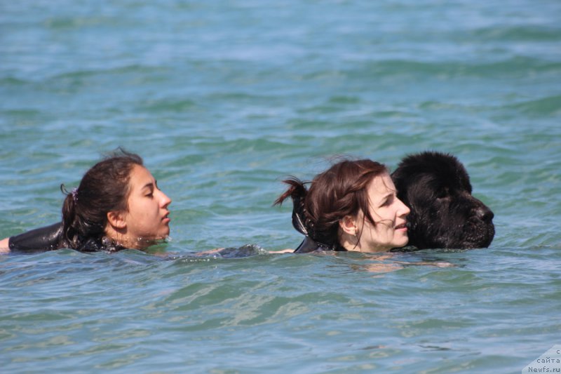 Фотография № 214640