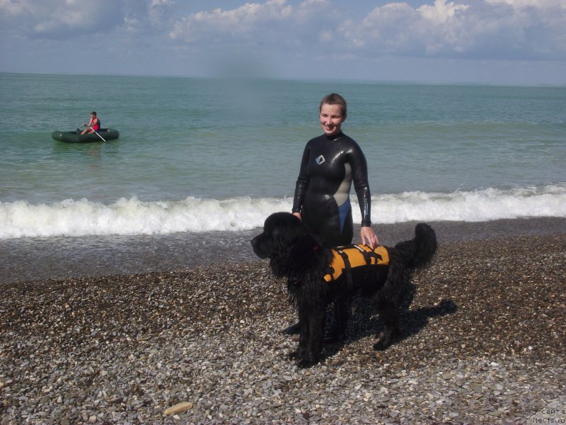 Фотография № 214642