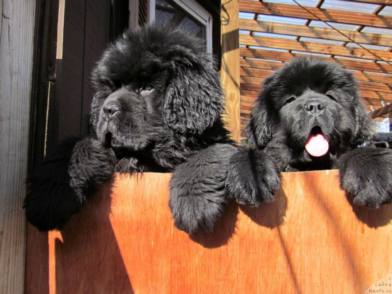 Фотография № 214644