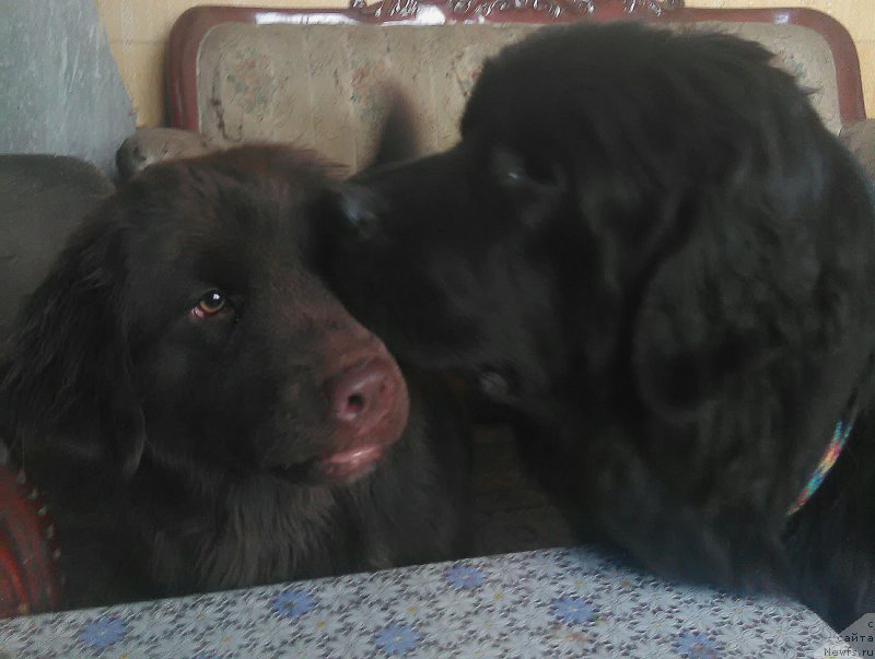 Фотография № 214649