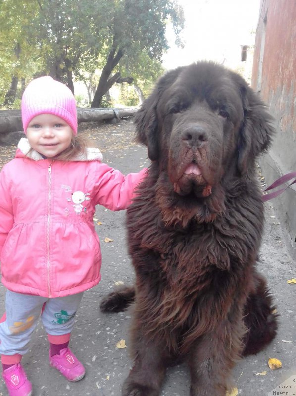 Фото: [d9121] И АНЖЕЛИКА