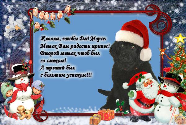 Фотография № 21471