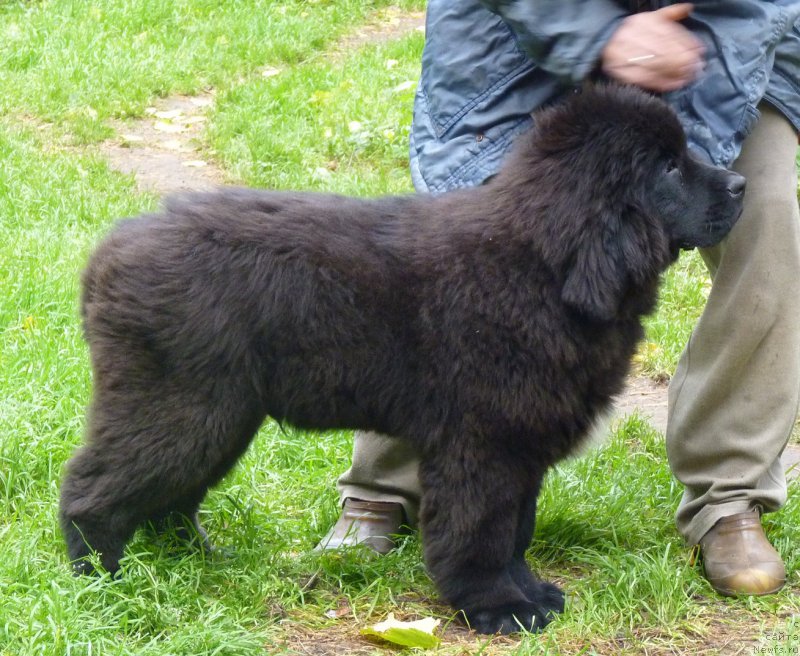 Фотография № 214756