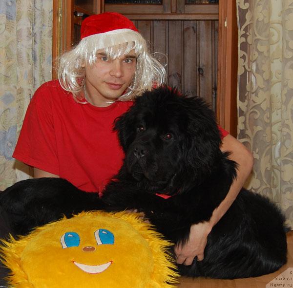 Фото: ньюфаундленд Super Premium Vashington (Супер Премиум Вашингтон), Maksim Kanunnikov (Максим Канунников)