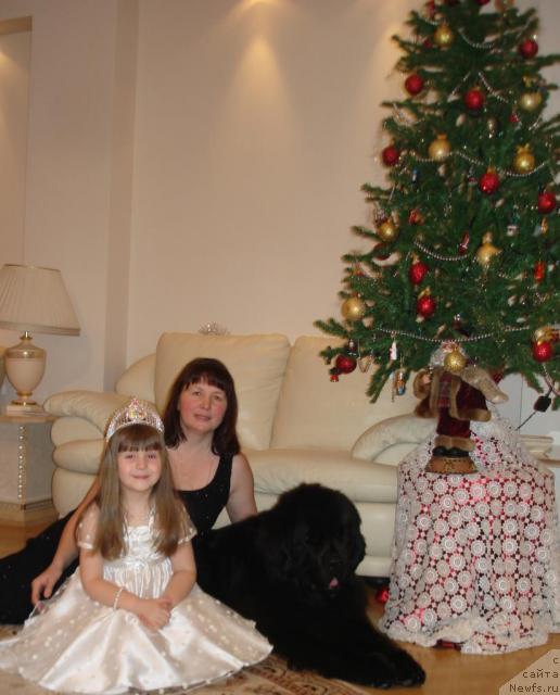 Фото: Natal'ya Guzeeva (Наталья Гузеева), ньюфаундленд Fairweathers Emperor, Даша