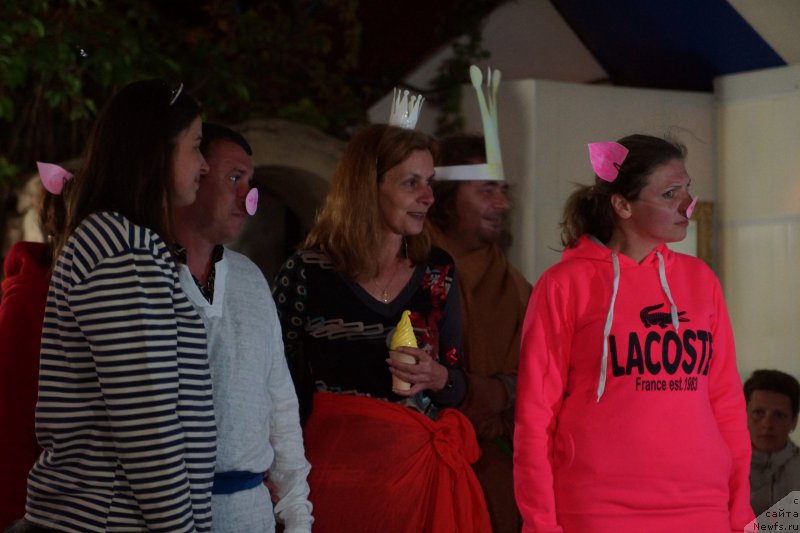 Фотография № 214817