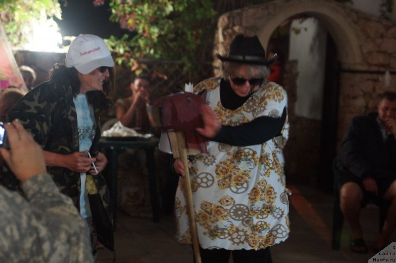 Фотография № 214823