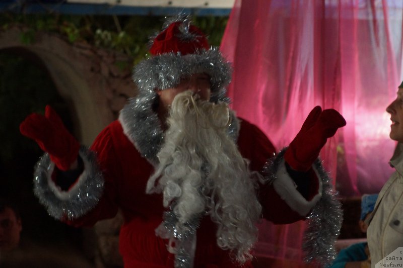 Фотография № 214826